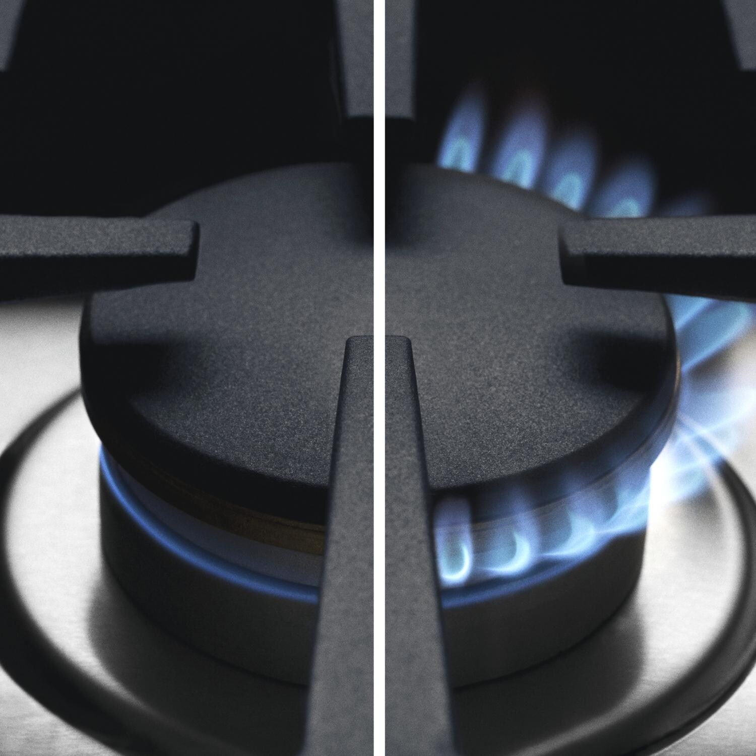 Fisher Paykel Professional Dual Flow Burner thumbnail