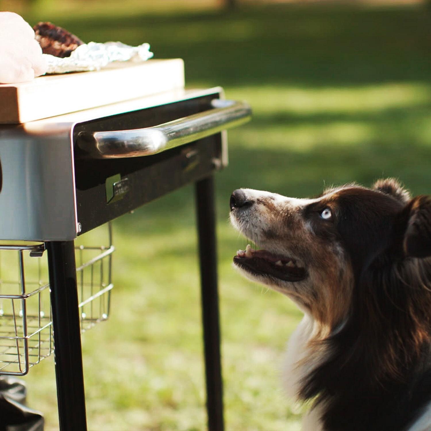 Weber 18501101 Summit 24-Inch Kamado S6 Charcoal Grill Center - Side Handle View - Lifestyle thumbnail