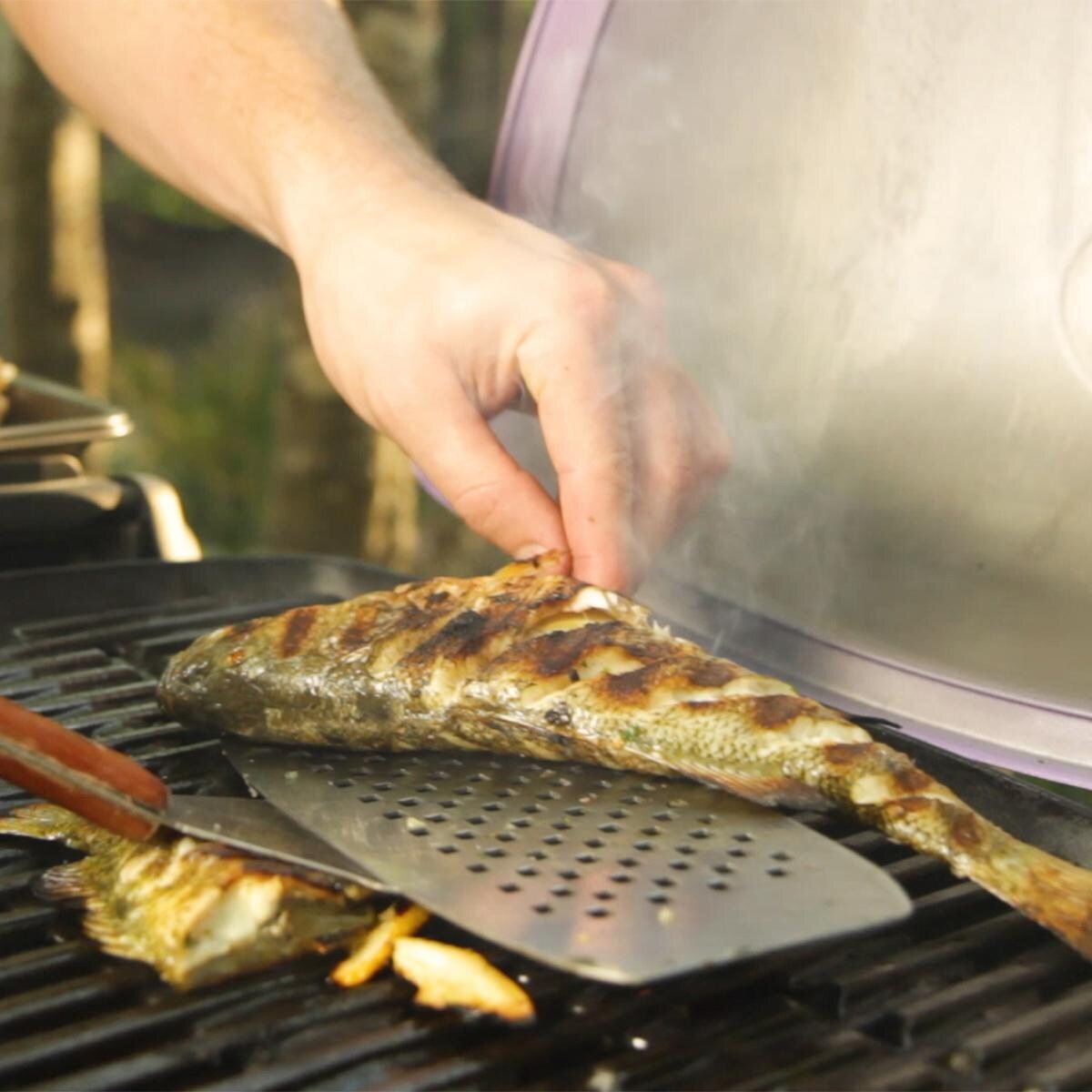 Weber Q Portable Grill - Grillmaster Randy Grilling Fish thumbnail
