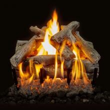 Grand Canyon 18-Inch Western Driftwood Vented Outdoor Log Set W/ Natural Gas 2BRN SS Burner - Match Light image