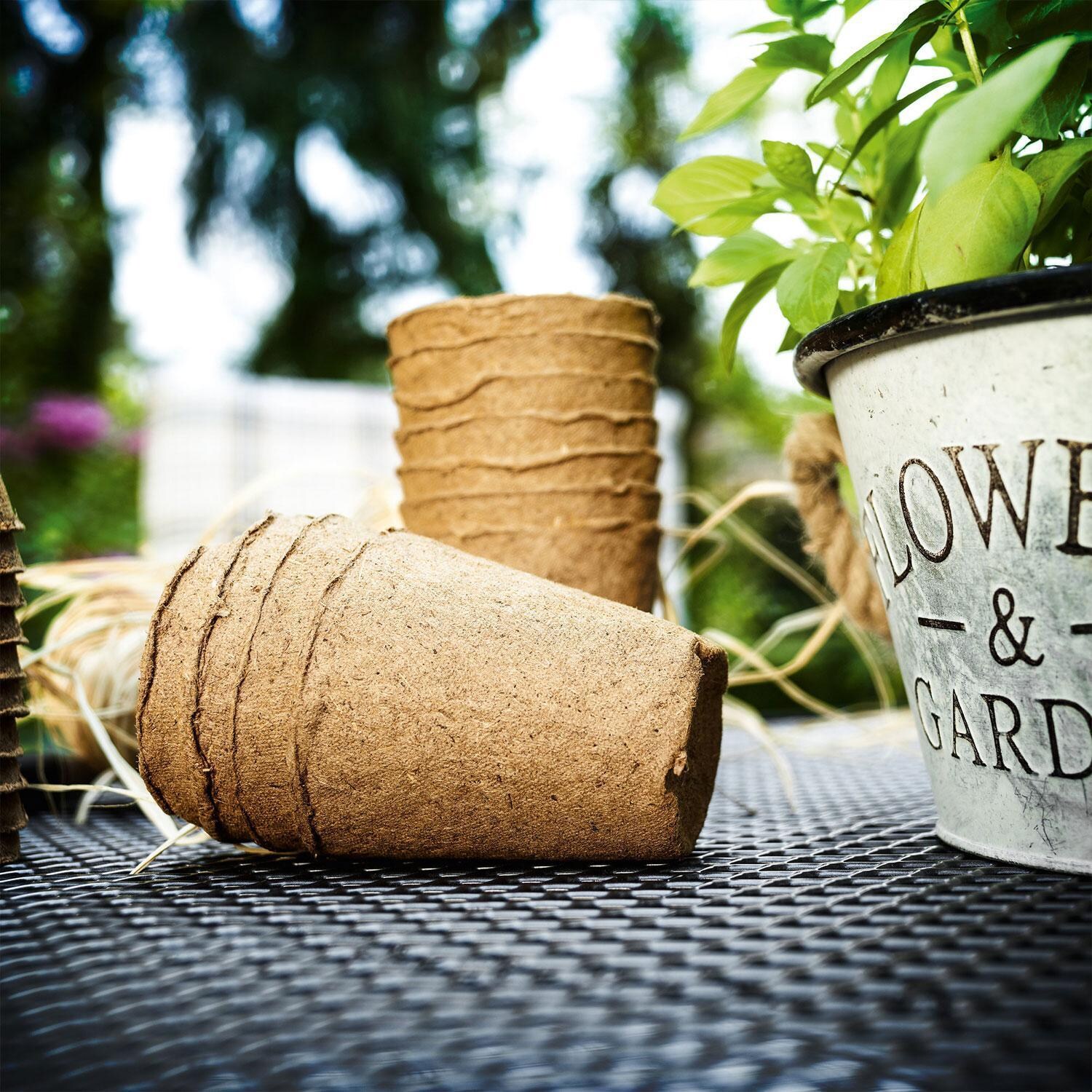 Caredo 7 Pc Steel Dining Set By KETTLER - Decorations on Dining Table - Lifestyle thumbnail