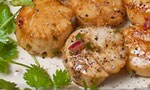 Scallops Recipe