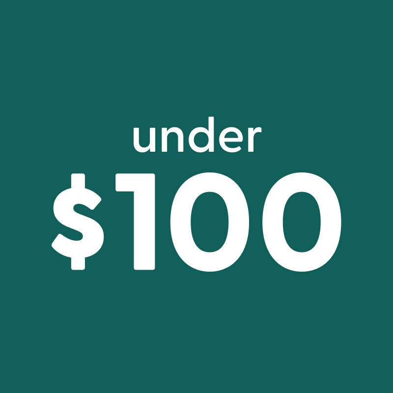Gifts Under $100