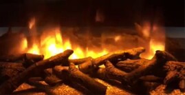 Evolution Fires Video