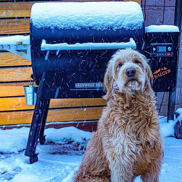 pellet grill and dog in snow