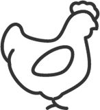Poultry icon