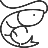 Seafood icon