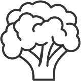 Veggie icon