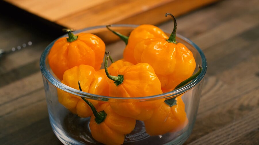 Scotch bonnet peppers