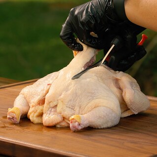 Kelsey Heidkamp cutting the spine out of the chicken